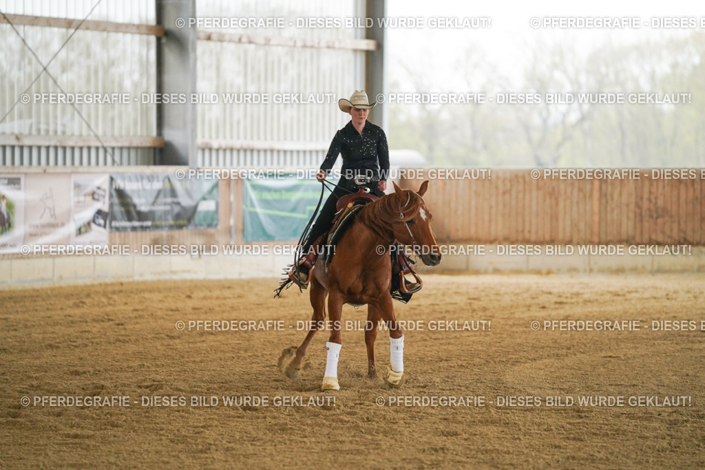 DSC08046 | Pferdegrafie