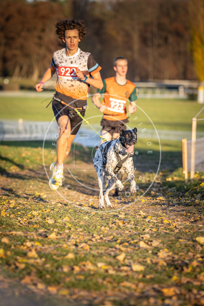 CaniXpix_DV3A4962 | Hundefotografie, Tierfotograf, Pfotenfotografie, Fotoshooting Hund, Hunde Portrait, Hundesport, Hundeportraits, Heideshooting, Hunde, Sportfotograf, Hundefotograf, Turnierhundsport, THS,  - Realisiert mit Pictrs.com