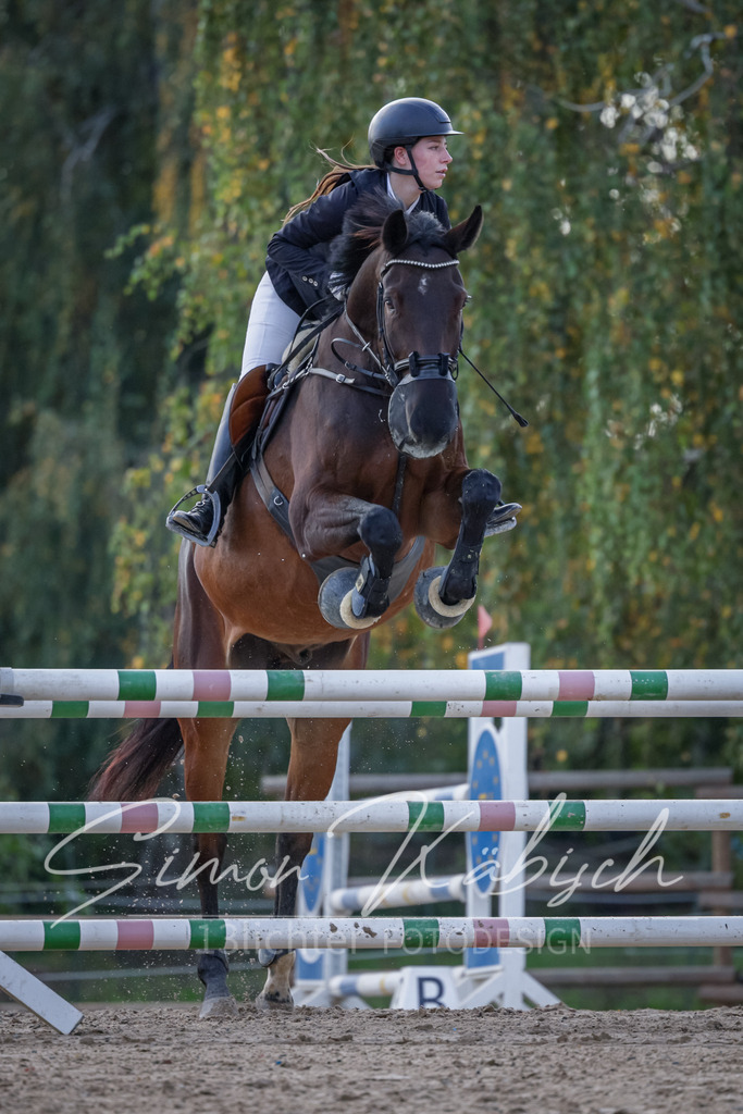 20251012-_3LI5619 | Tierfotografie Pferde, Hunde, Katzen, Haustiere.
Turnierfotografie Reitturniere, Reiten, Springreiten, Dressur in Hanau, dem Main-Kinzig-Kreis und dem Rhein-Main- Gebiet um Frankfurt