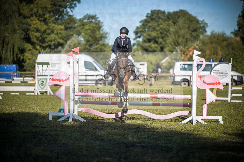 DOS_0583 | Entdecke hochwertige Reitturnierfotos von Foto Oger. Professionell, emotional und authentisch – jetzt Lieblingsmomente im Shop bestellen.Deutschlandweite Turnierfotografie. - Realisiert mit Pictrs.com