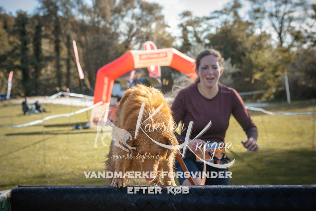 1217_ZZ95304 | kk-dogfotos
