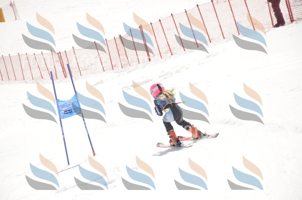 _ELE9324 | holidayphoto