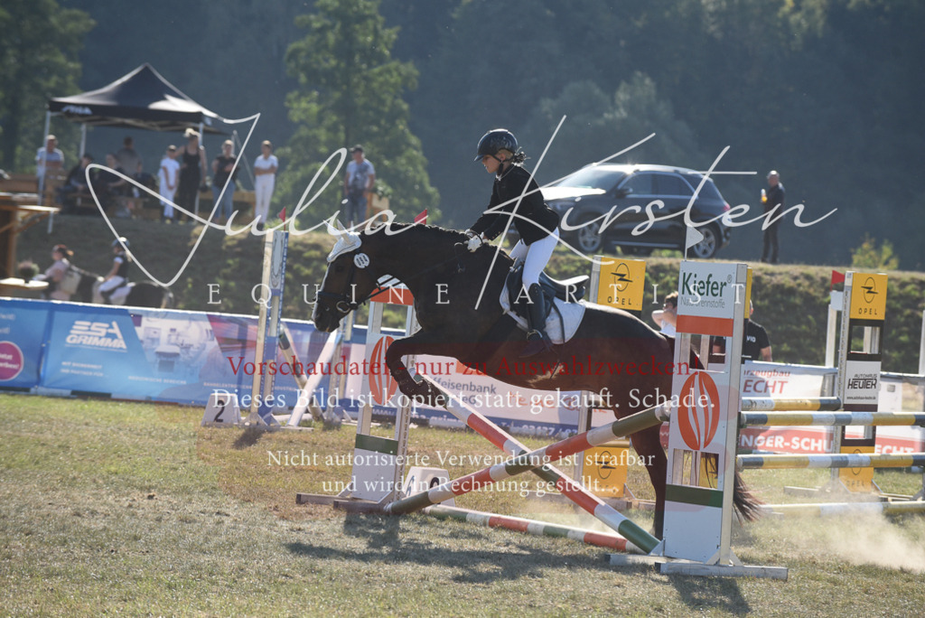 DSC_5742 | Pferde- und Turnierfotografie in Westsachsen. Pferdeportraits, Auftragszeichnungen und intuitive Kunst.