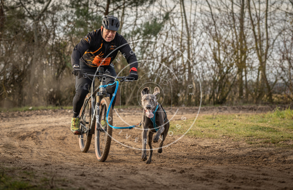 Pfotenfotografie_DV3A8438 | Hundefotografie, Tierfotograf, Pfotenfotografie, Fotoshooting Hund, Hunde Portrait, Hundesport, Hundeportraits, Heideshooting, Hunde, Sportfotograf, Hundefotograf, Turnierhundsport, THS,  - Realisiert mit Pictrs.com