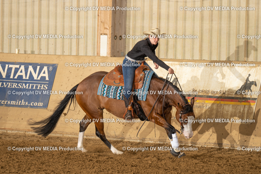 LAU01351 | dv-media-shop - Realisiert mit Pictrs.com