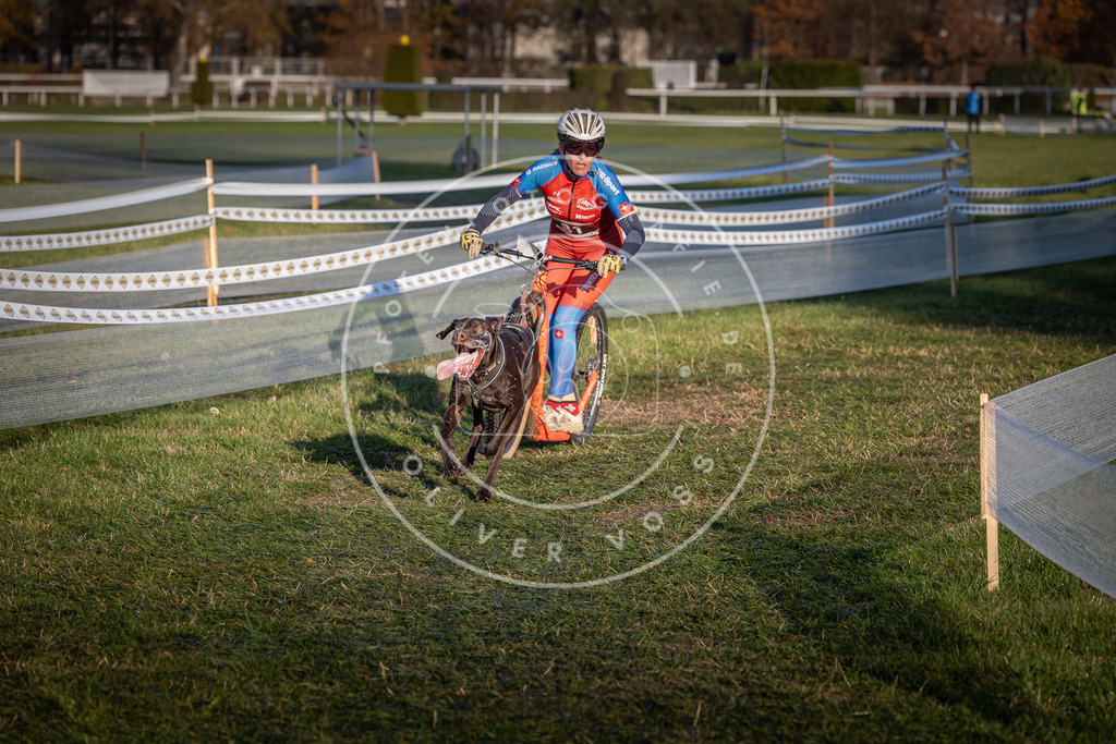CaniXpix_0L8A3689 | Hundefotografie, Tierfotograf, Pfotenfotografie, Fotoshooting Hund, Hunde Portrait, Hundesport, Hundeportraits, Heideshooting, Hunde, Sportfotograf, Hundefotograf, Turnierhundsport, THS,  - Realisiert mit Pictrs.com