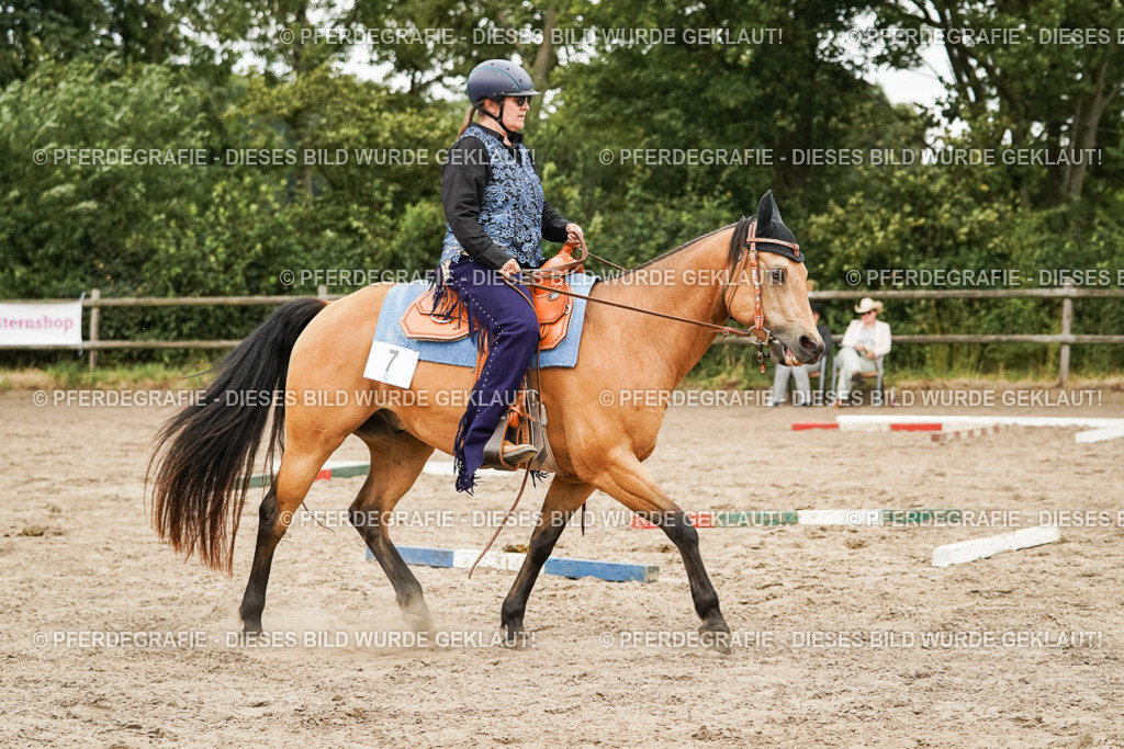 DSC08623 | Pferdegrafie