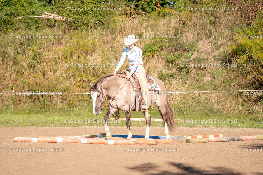 SAL02492 | BS-foto