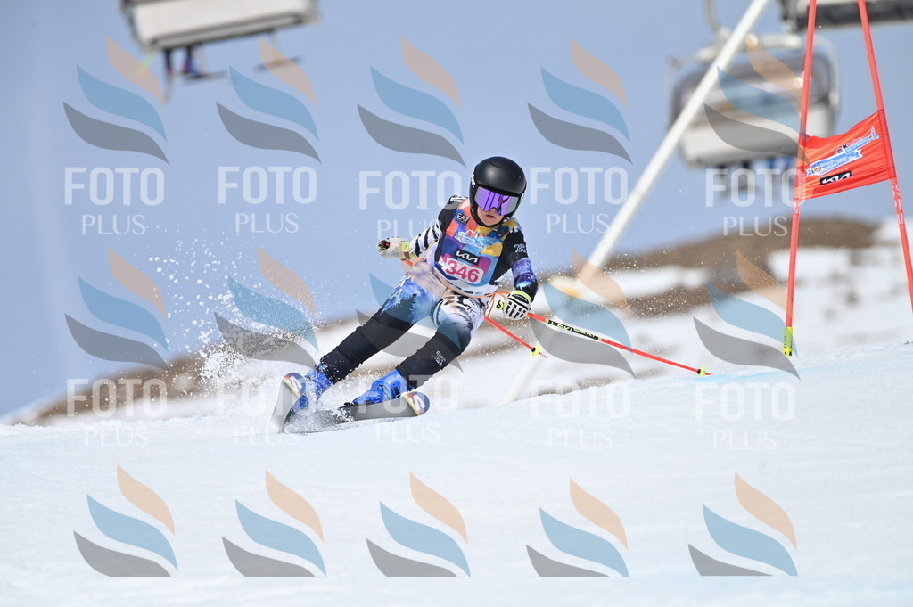 BGV_3553 | holidayphoto