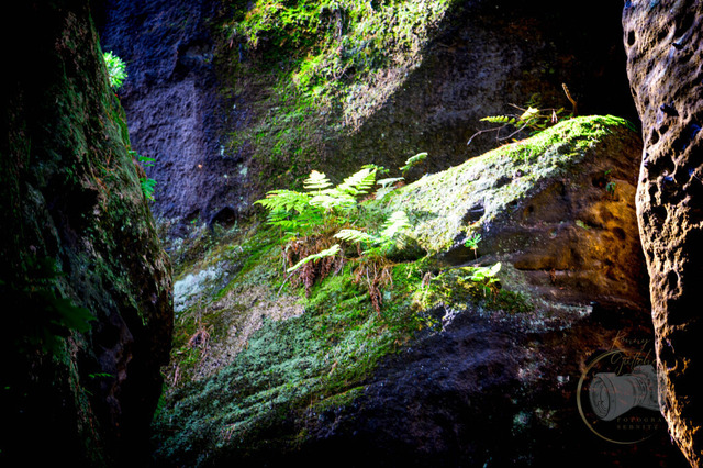 _DSC8200 | Shop für Prints Landschaftsfotografie Sächsische Schweiz Naturfotografie in Thüringen Fotos vom Findlingspark Nochten Kloster Sankt Marienstern Bilder Festung Königstein PanoramaRhododendronpark Kromlau FotogalerSchleswig-Holstein Küstenlandschaften