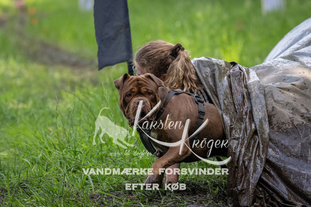 1344_ZZ92071 | kk-dogfotos
