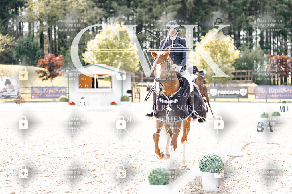 CK901011 | Turnierfotografie Pferdefotografie Trier Rheinland-Pfalz Pferdesport Reitsport Tierfotografie Sportfotografie Pferdevideo Pferdevideografie Equestrianvideography equestrianphotography  - Realisiert mit Pictrs.com
