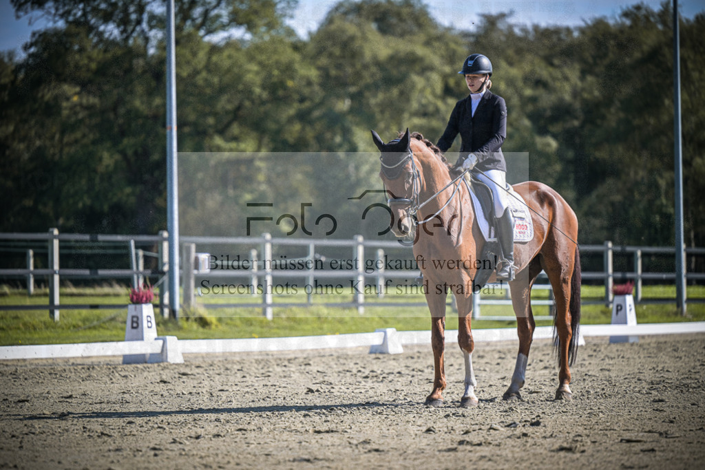 DOS_3153 | Entdecke hochwertige Reitturnierfotos von Foto Oger. Professionell, emotional und authentisch – jetzt Lieblingsmomente im Shop bestellen.Deutschlandweite Turnierfotografie. - Realisiert mit Pictrs.com