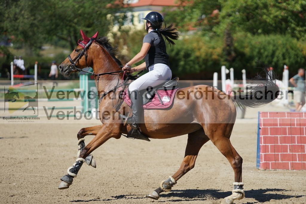 DSC07702 | equestrian-live-com