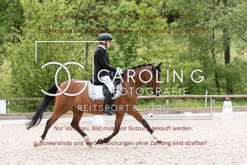 DSC_7331 | Turnierfotografin Carolin Gieschke, Turnierfotografie Carolin G Fotografie, Turnierfotos Kirchheim/Teck, Esslingen, Stuttgart, Bodenseekreis