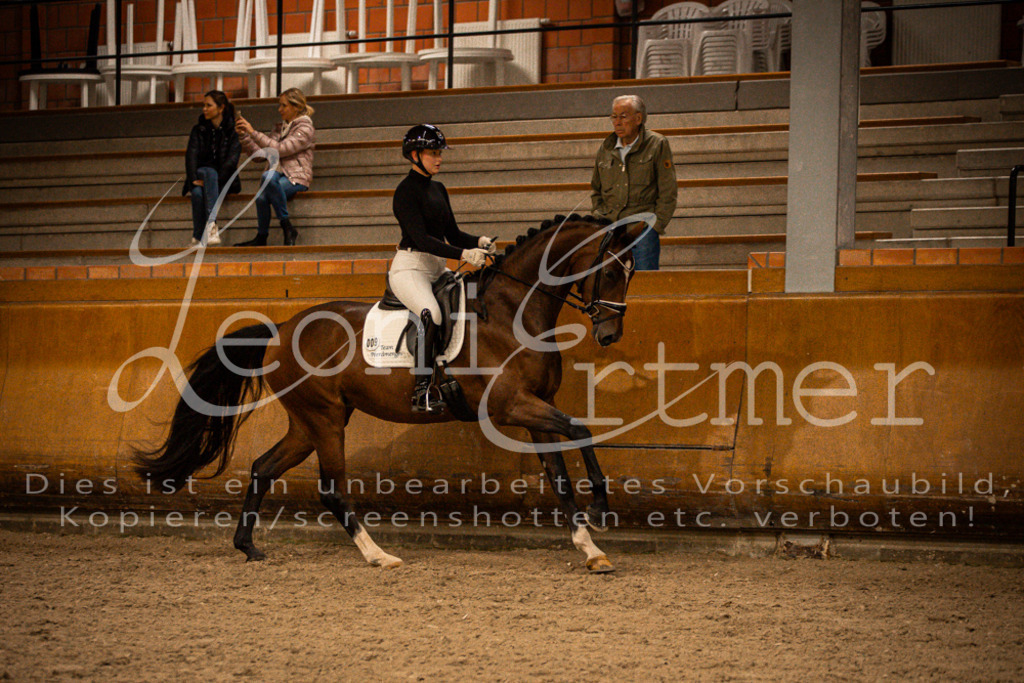 1Reiten00199 | Leoni Ertmer Photography - Realisiert mit Pictrs.com