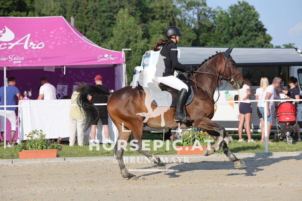0P6A6892 | Willkommen bei Brunnmayr - Design & Fotografie – Ihrem Spezialisten für Reitturniere und Pferdeveranstaltungen in Oberösterreich, Salzburg und Bayern! Seit über 17 Jahren sind wir leidenschaftlich dabei.