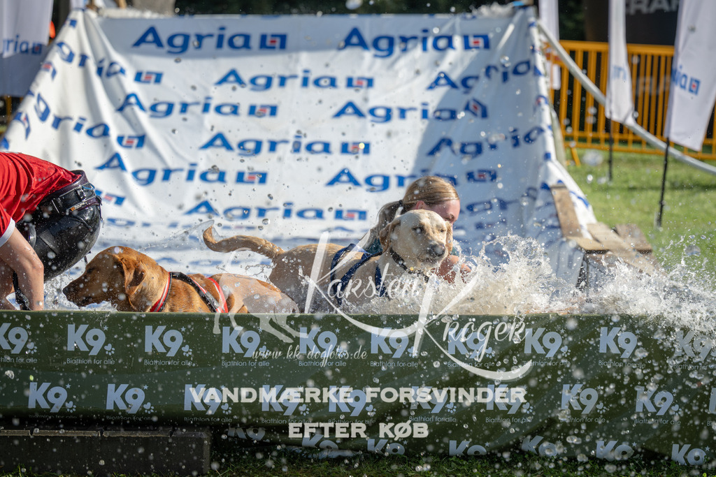 0938_ZZ96623 | kk-dogfotos