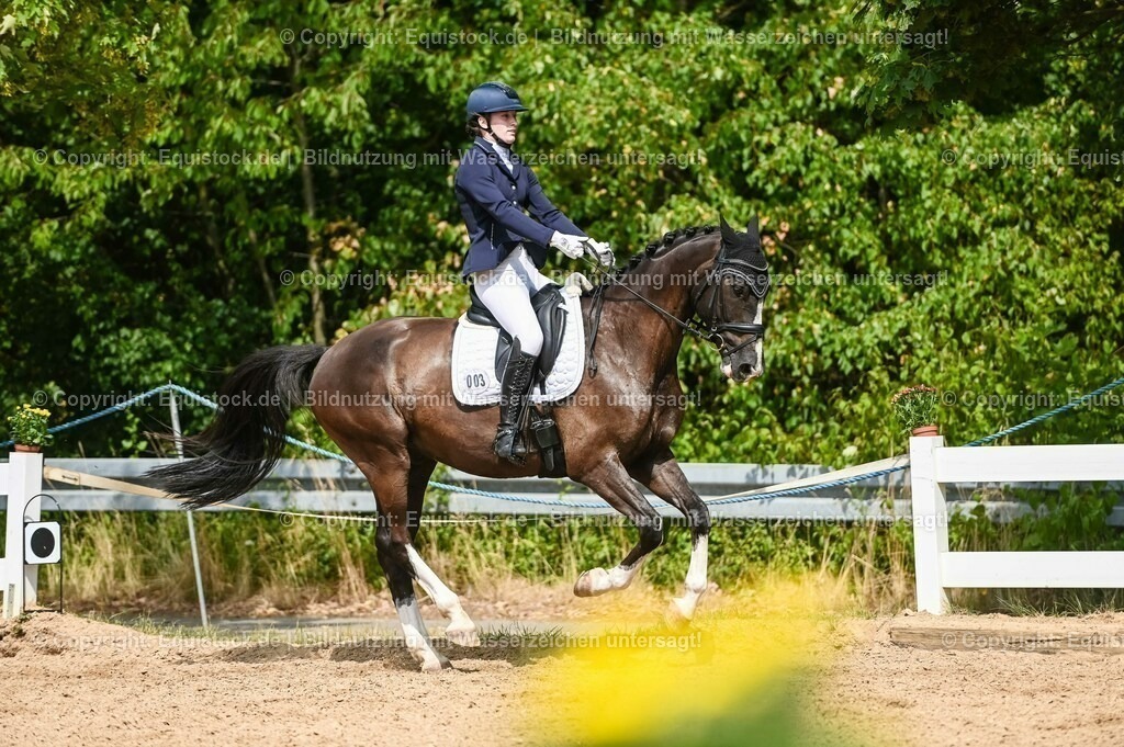 20230715_02_Dressurreiterprüfung Kl.L_0290 | equistock