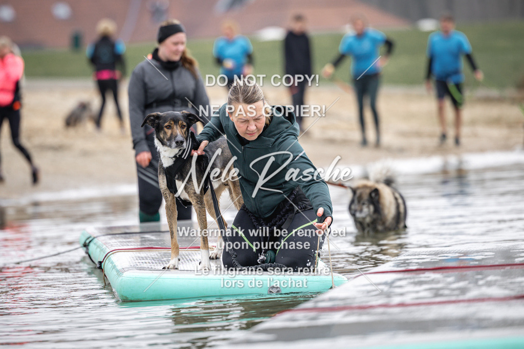 nelerasche_Hulsbeek_Sa1100-1130_634 | nelerasche