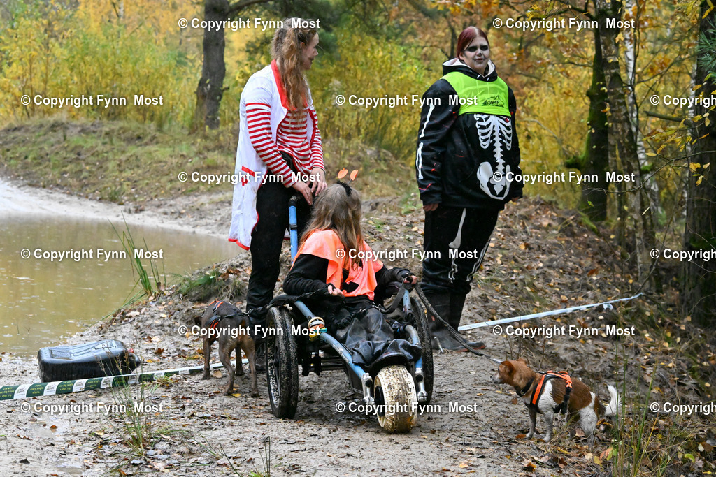 DSC_7036 | Hallo und herzlich Willkommen auf meiner Shop-Seite Fynn Most.

Ich wünsche Dir viel Spaß beim stöbern durch die Bilder, wenn Du Fragen hast oder Bilder vermisst, kannst du mir gerne eine Nachricht schreiben. - Realisiert mit Pictrs.com