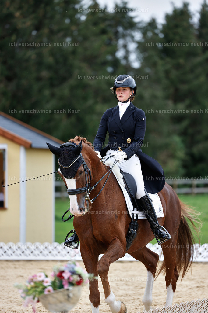 11-201-Dressur S___-StoibPH-942 | working equitationturnier fotograf videograf stoibphotography marixx film working equitation deutschland reitsport turnierfotografie eventfotografie equestrian events