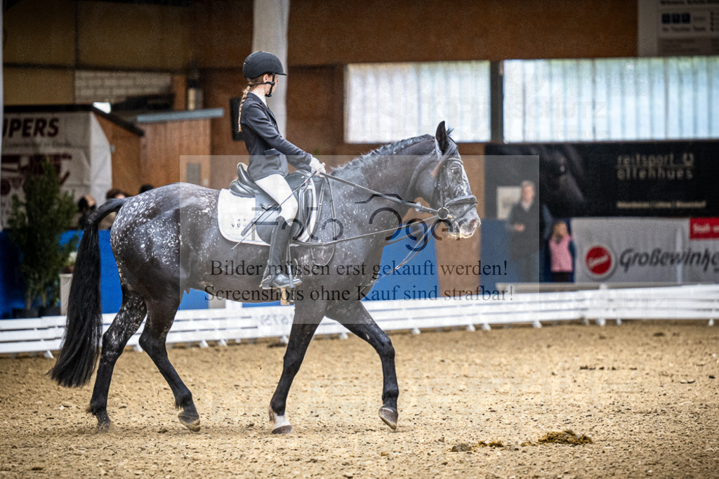 DOS_0429 | Entdecke hochwertige Reitturnierfotos von Foto Oger. Professionell, emotional und authentisch – jetzt Lieblingsmomente im Shop bestellen.Deutschlandweite Turnierfotografie. - Realisiert mit Pictrs.com