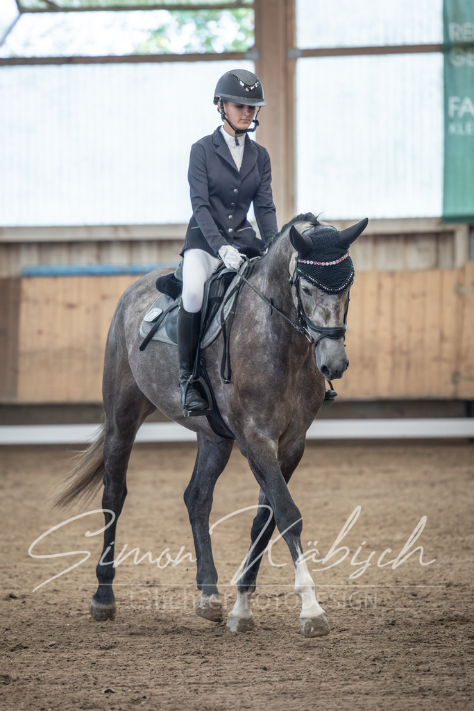 20251011-_3LI7759 | Tierfotografie Pferde, Hunde, Katzen, Haustiere.
Turnierfotografie Reitturniere, Reiten, Springreiten, Dressur in Hanau, dem Main-Kinzig-Kreis und dem Rhein-Main- Gebiet um Frankfurt
