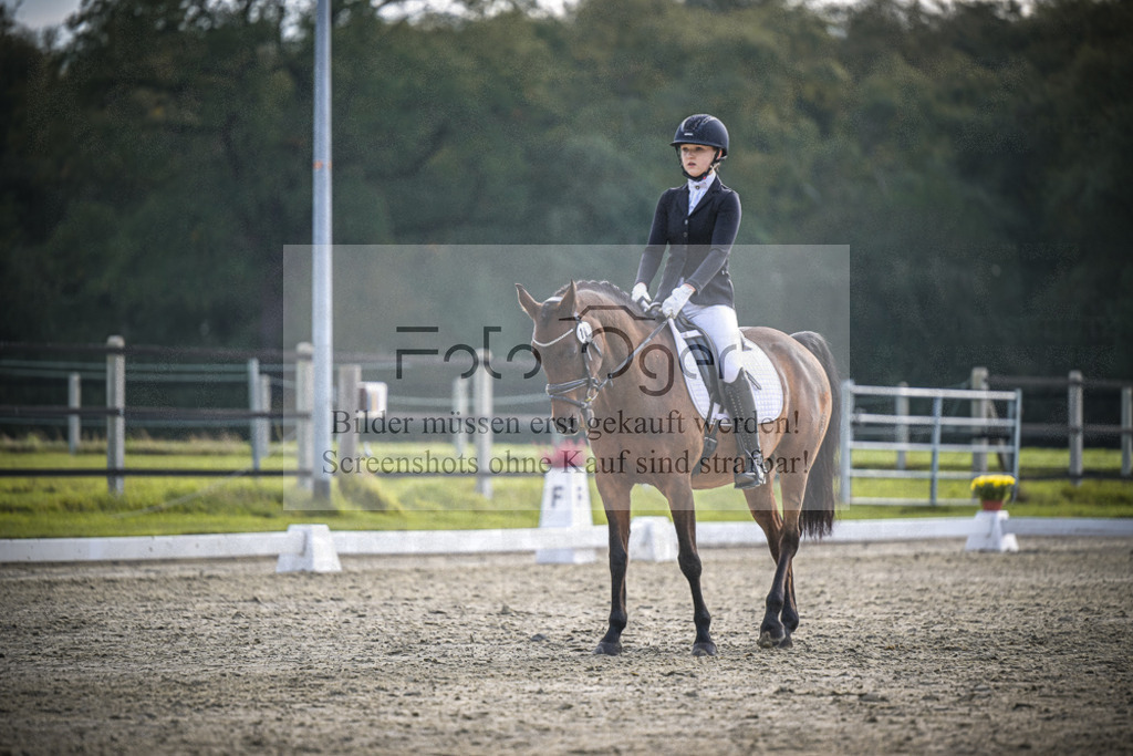 DOS_B128 | Entdecke hochwertige Reitturnierfotos von Foto Oger. Professionell, emotional und authentisch – jetzt Lieblingsmomente im Shop bestellen.Deutschlandweite Turnierfotografie. - Realisiert mit Pictrs.com