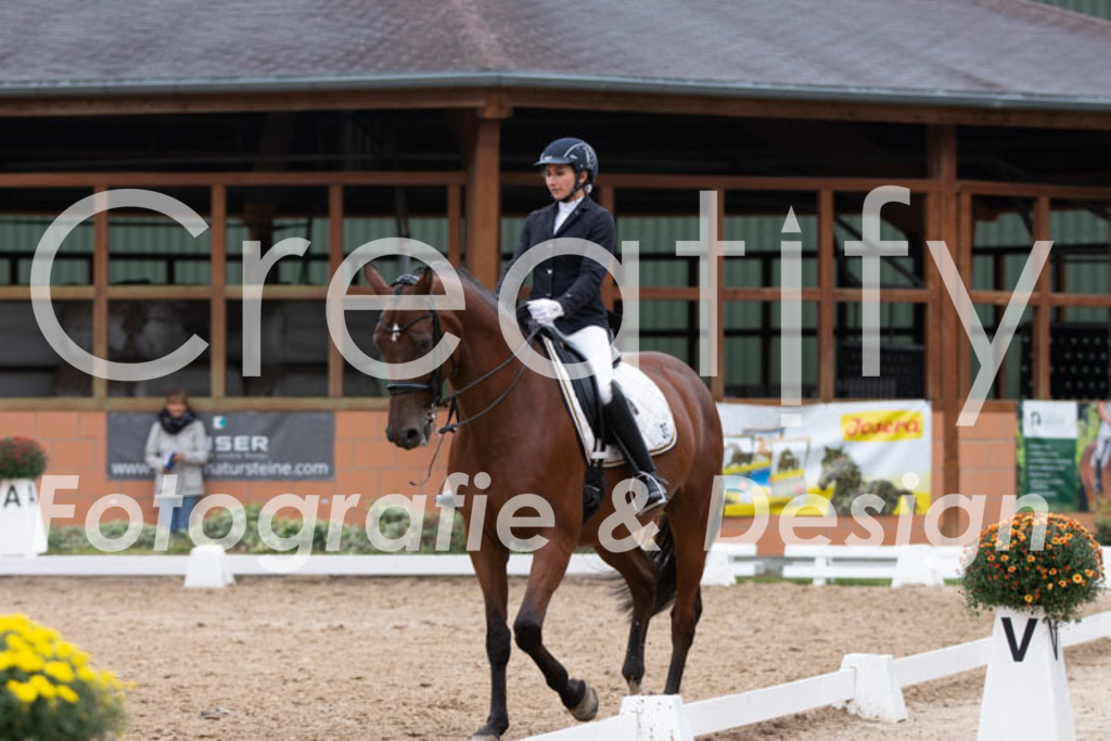 IMG_7684 | Creatify Fotografie