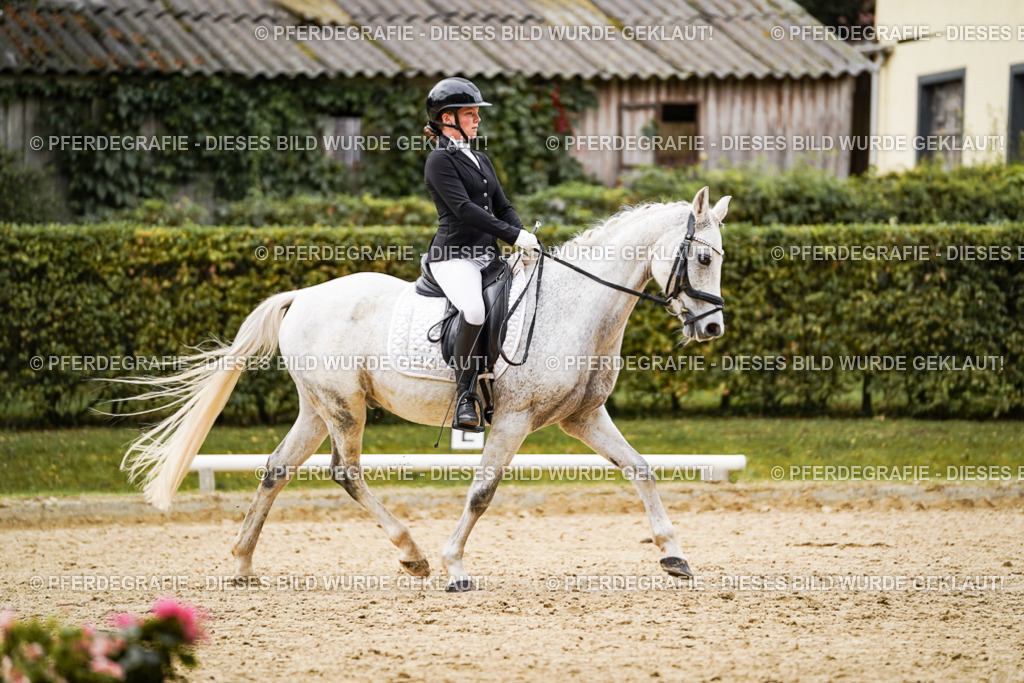 DSC07765 | Pferdegrafie