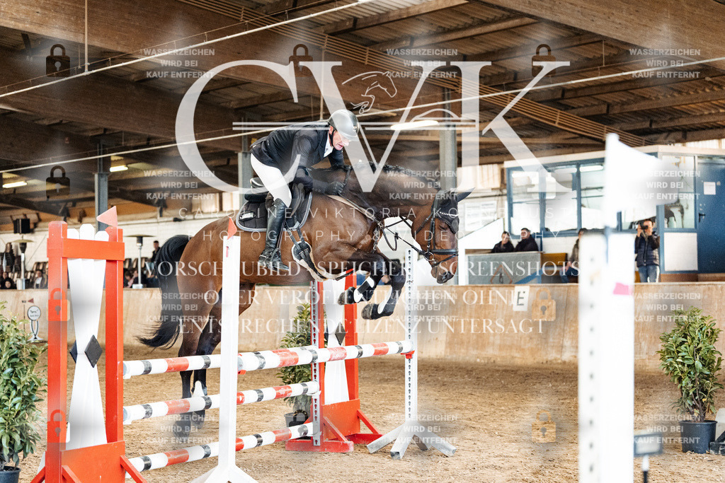CK905273 | Turnierfotografie Pferdefotografie Trier Rheinland-Pfalz Pferdesport Reitsport Tierfotografie Sportfotografie Pferdevideo Pferdevideografie Equestrianvideography equestrianphotography  - Realized with Pictrs.com