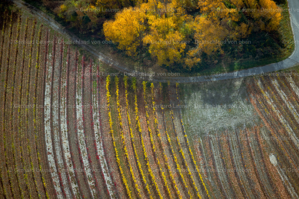 3807965 | Weinberg bei Mainstockheim