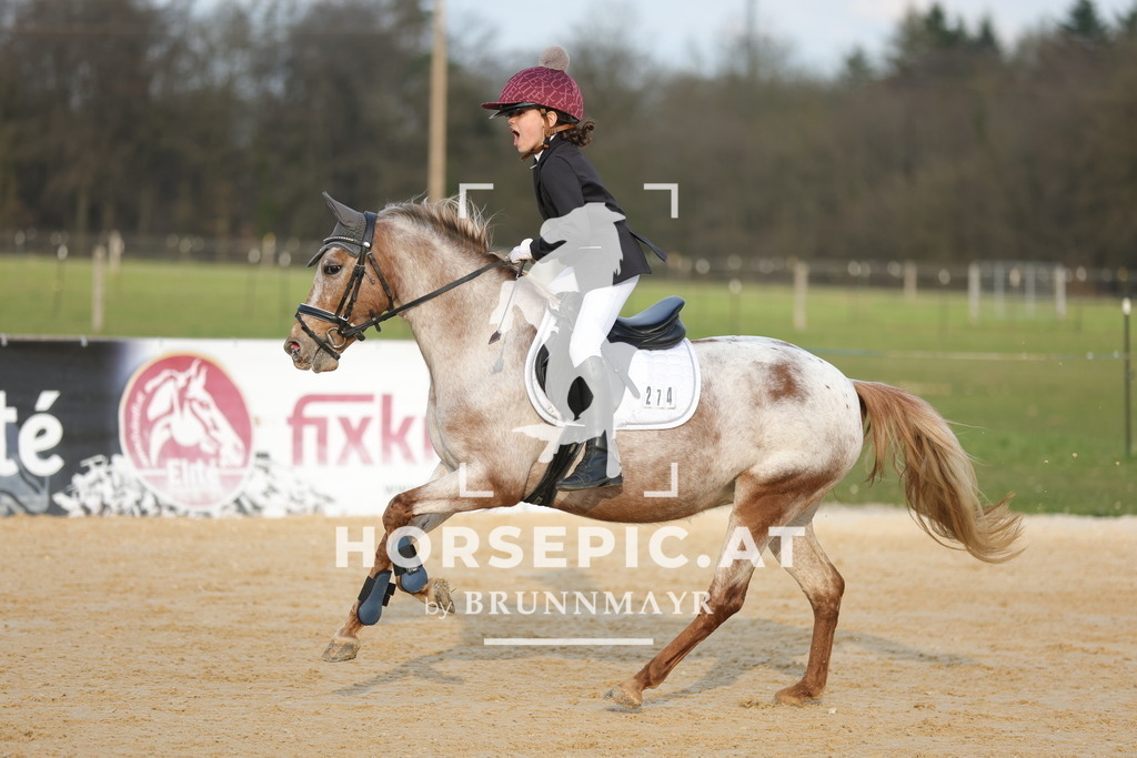 0P6A8943 | Willkommen bei Brunnmayr - Design & Fotografie – Ihrem Spezialisten für Reitturniere und Pferdeveranstaltungen in Oberösterreich, Salzburg und Bayern! Seit über 17 Jahren sind wir leidenschaftlich dabei.