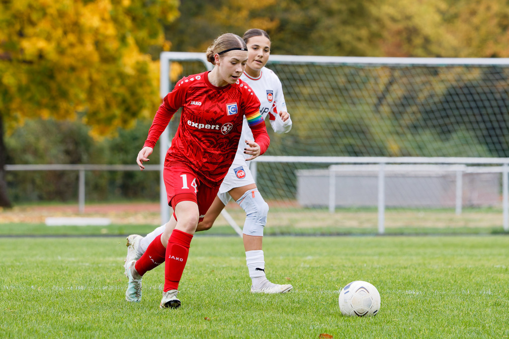 FCEFCH_251012_1039 | Fotopresso – Sportfotografie in Heidenheim & Umgebung. Professionelle Sportfotografie für unvergessliche Momente. Dynamische Action-Shots, emotionale Szenen & hochwertige Bilder. - Realisiert mit Pictrs.com