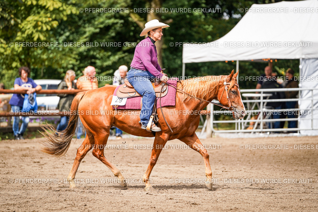 DSC07059 | Pferdegrafie