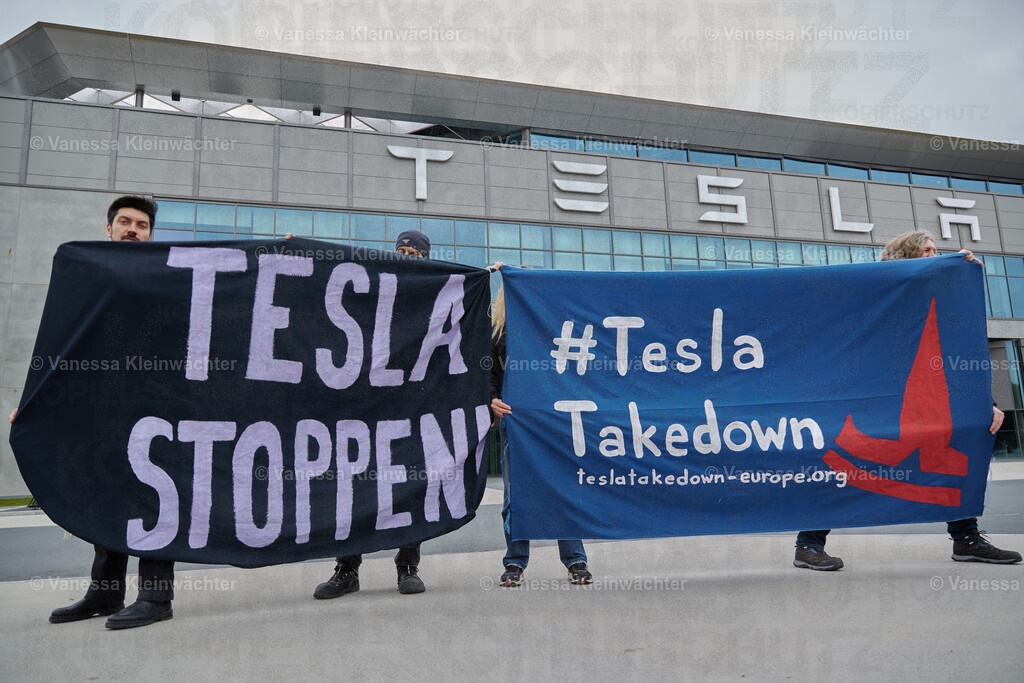 250412_TeslaWaldspaziergang_00014 | Vanessa Kleinwächter - Realisiert mit Pictrs.com