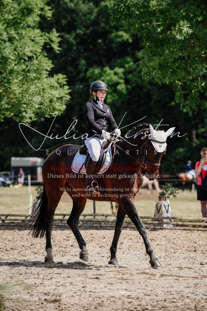 DSC_1104 | Pferde- und Turnierfotografie in Westsachsen. Pferdeportraits, Auftragszeichnungen und intuitive Kunst.