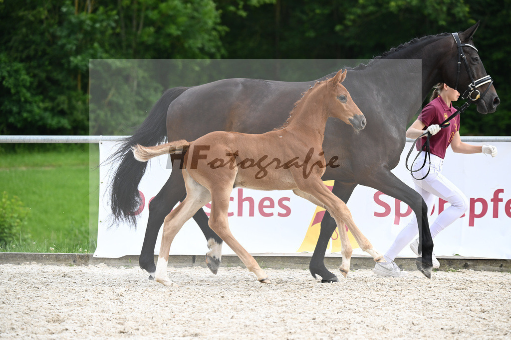 Consantos x Concetto_SF_Lang-Wengert_20241115 | hf-fotografie - Realisiert mit Pictrs.com