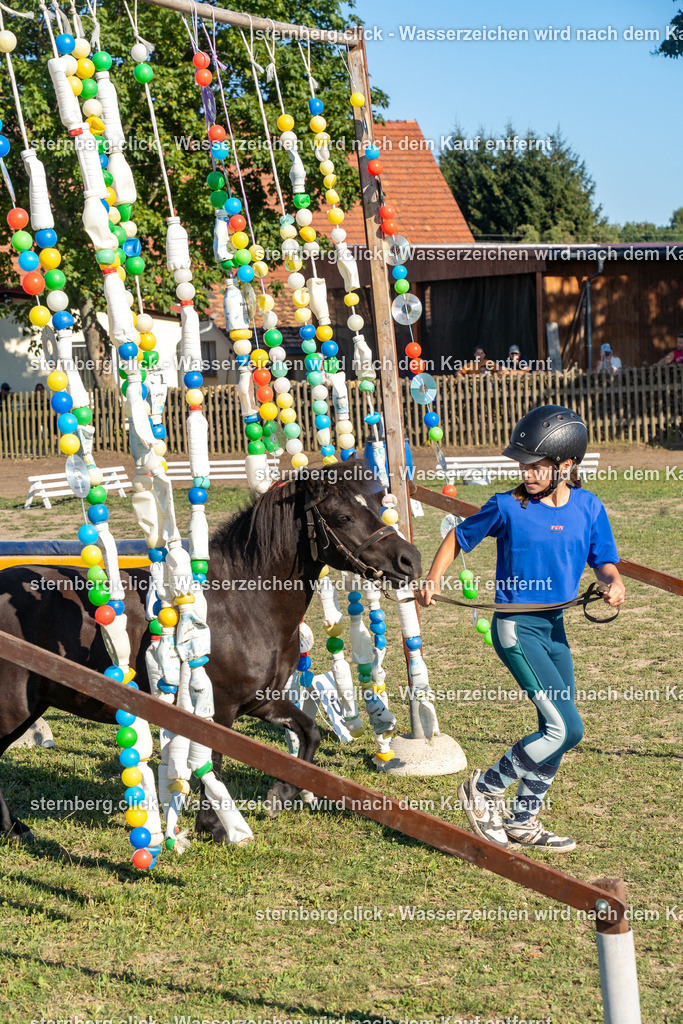 2026-08-08_16-19-37_WBO_Pulsnitz | sternberg.click - Realisiert mit Pictrs.com