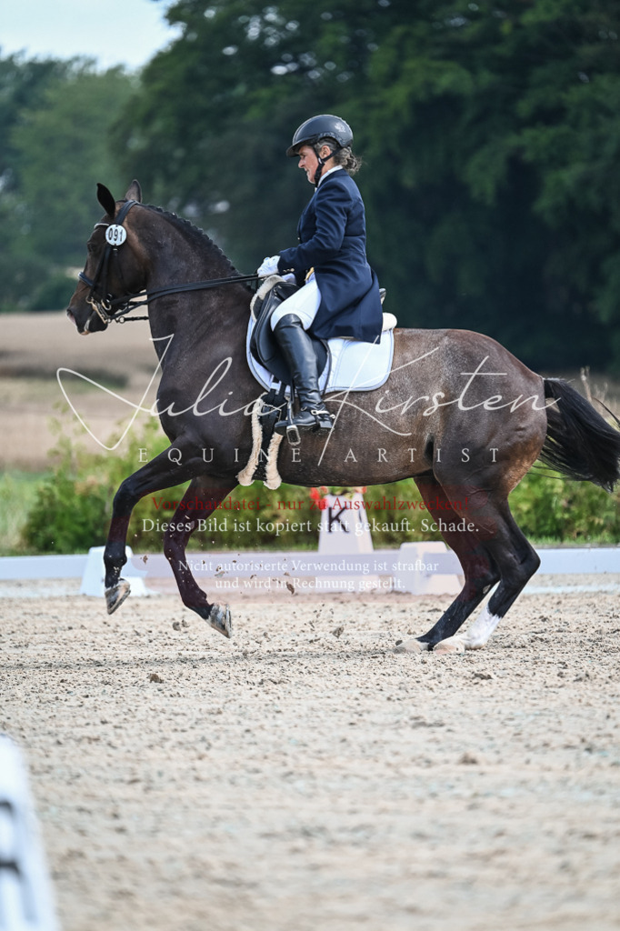 DSC_2265 | Pferde- und Turnierfotografie in Westsachsen. Pferdeportraits, Auftragszeichnungen und intuitive Kunst.