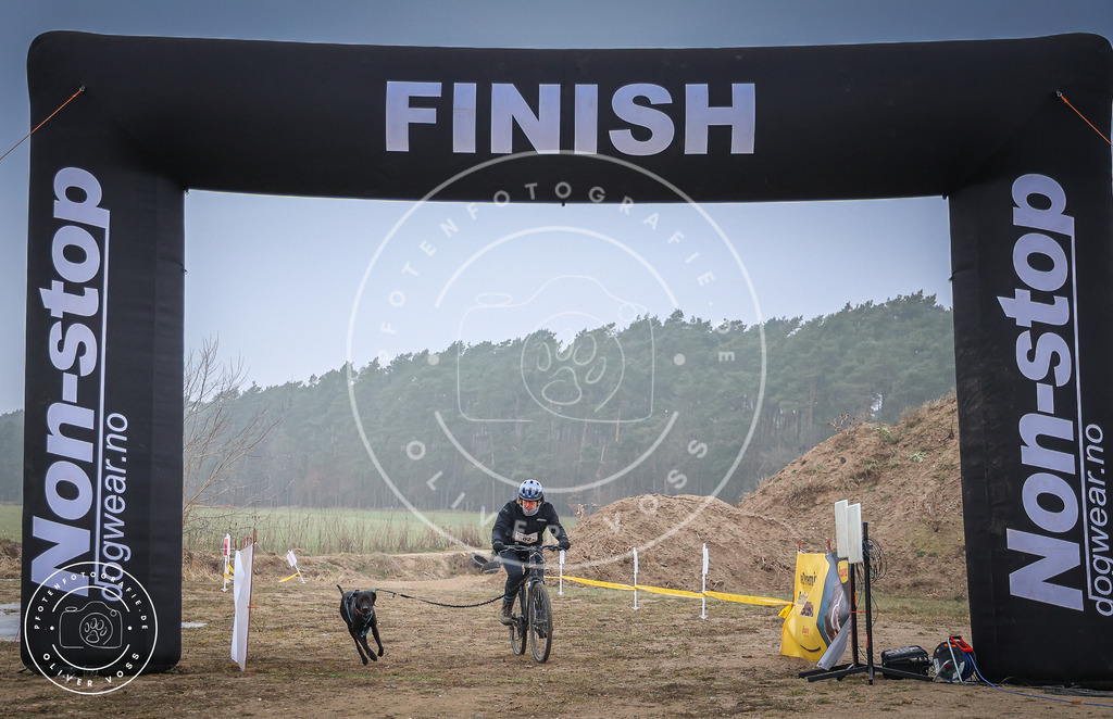 Pfotenfotografie_0L8A2427 | Hundefotografie, Tierfotograf, Pfotenfotografie, Fotoshooting Hund, Hunde Portrait, Hundesport, Hundeportraits, Heideshooting, Hunde, Sportfotograf, Hundefotograf, Turnierhundsport, THS,  - Realisiert mit Pictrs.com