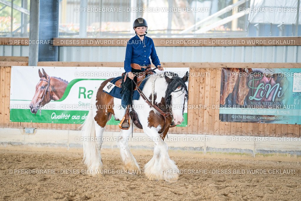 DSC03014 | Pferdegrafie