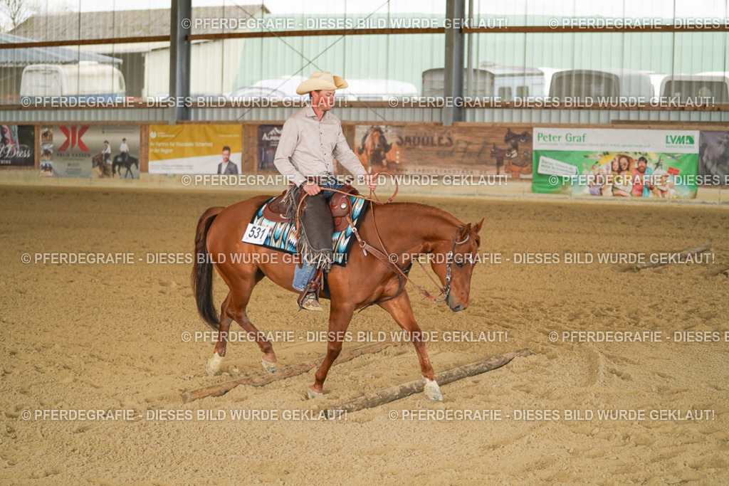 DSC02998 | Pferdegrafie