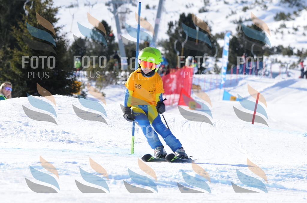 C7070 | holidayphoto