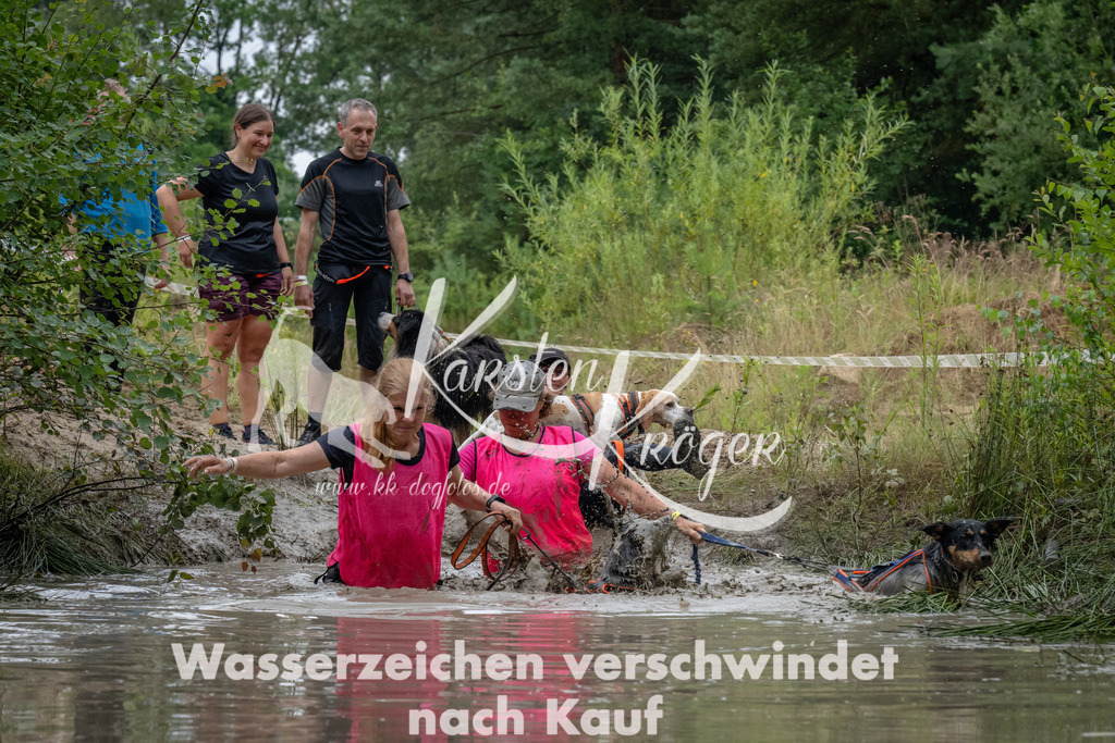 1340_ZZ91558 | kk-dogfotos