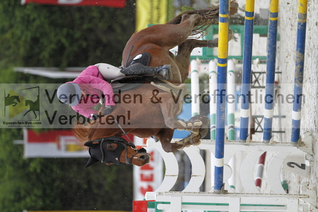 _MG_1197 | equestrian-live-com