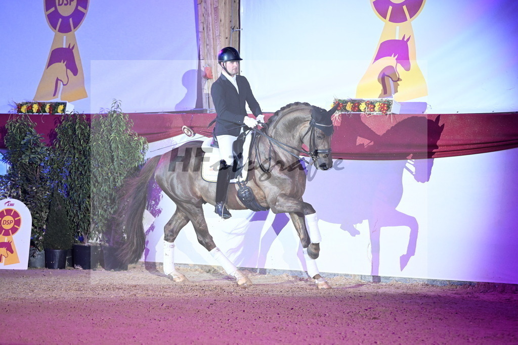 Feliciano_Wadenspanner_3262052 | hf-fotografie - Realisiert mit Pictrs.com