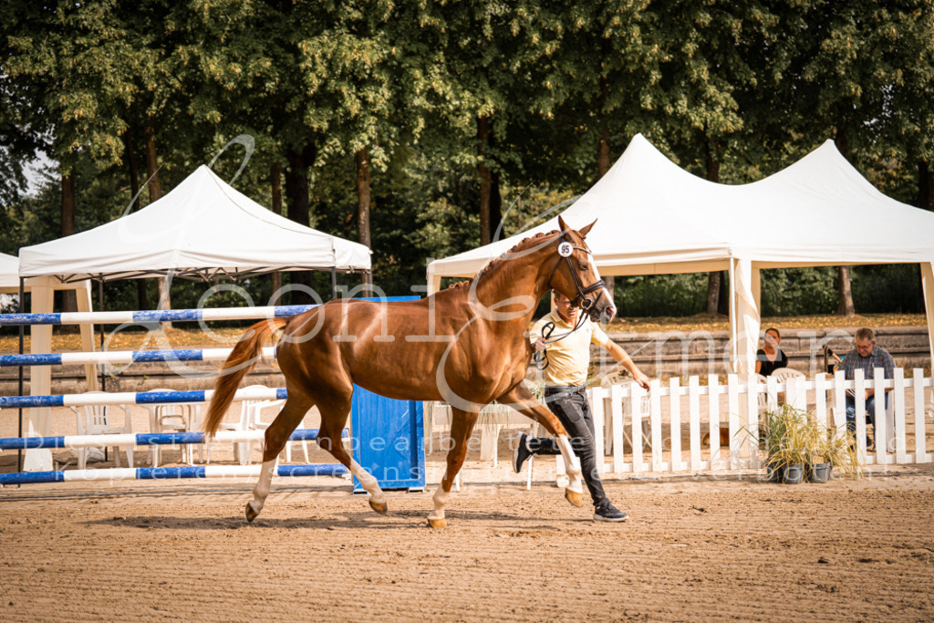 FrER00086 | Leoni Ertmer Photography - Realisiert mit Pictrs.com