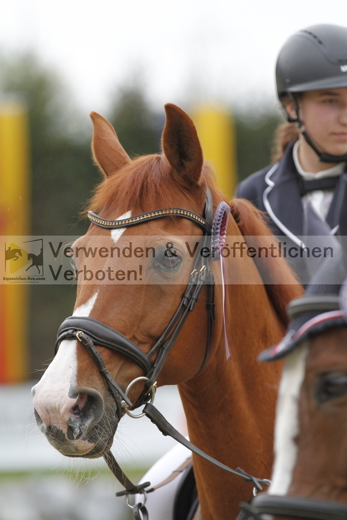 _MG_3113 | equestrian-live-com
